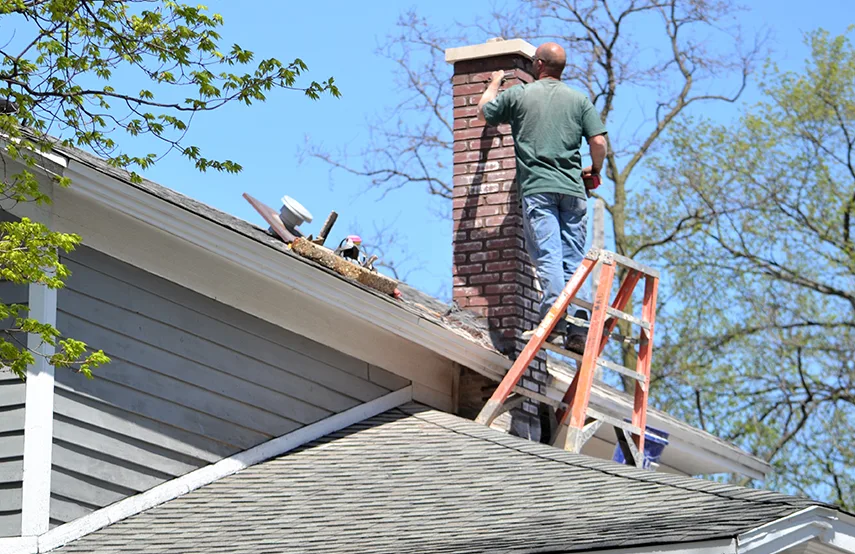 Chimney & Fireplace Inspections Services in Rome, NY